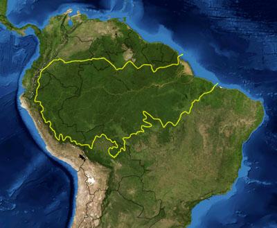 Selva amazónica peruana